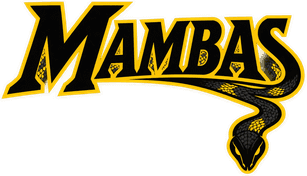 Tampa Bay Mambas